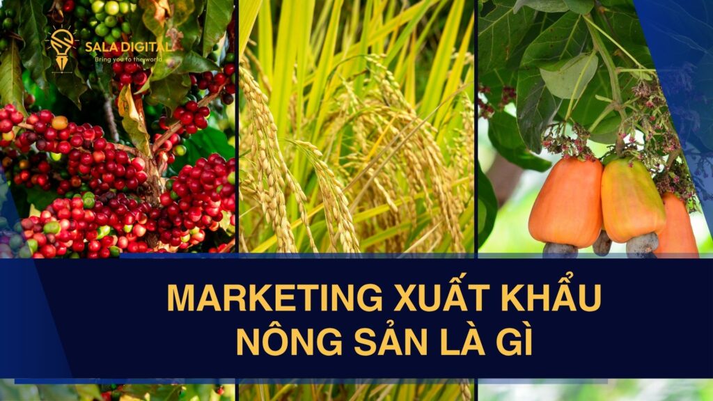 marketing-xuat-khau-nong-san-la-gi